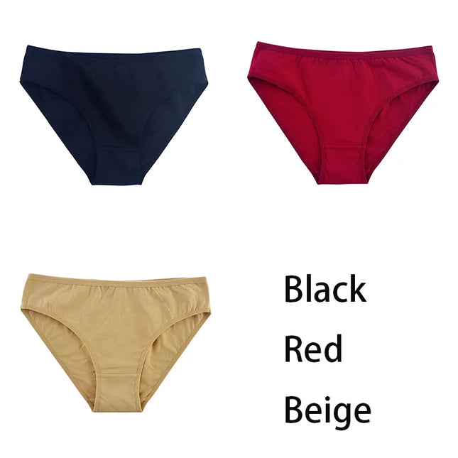 3PCS/Set  Classic Seamless Briefs Panties - VOLDRI