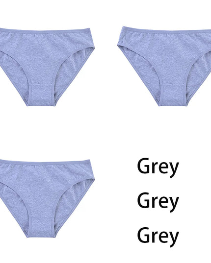 3PCS/Set  Classic Seamless Briefs Panties - VOLDRI