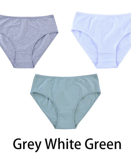 3PCS/Set Solid Color Briefs Underpants - VOLDRI