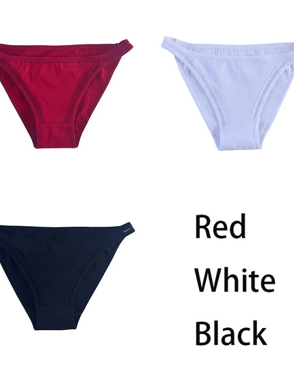 3Pcs/set   Mesh Underpants Bikini  Underwear - VOLDRI