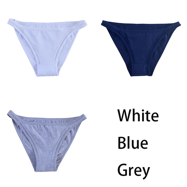 3Pcs/set  Mesh Underpants  Bikini  Underwear - VOLDRI