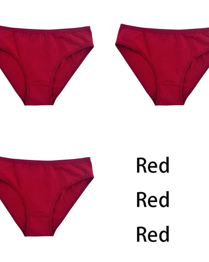 3PCS/Set  Classic Seamless Briefs Panties - VOLDRI