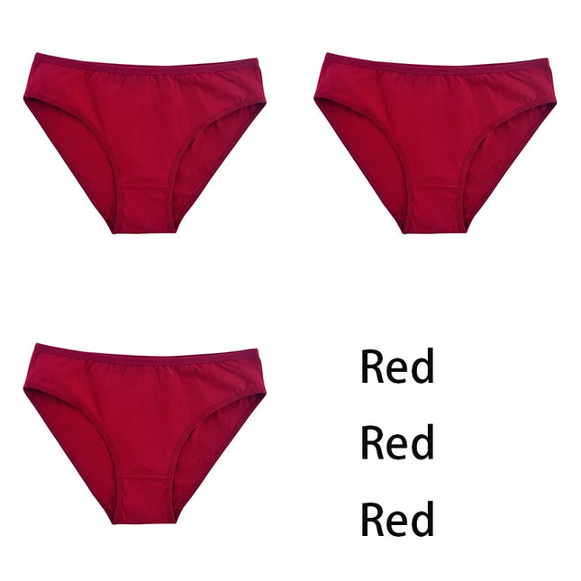 3PCS/Set  Classic Seamless Briefs Panties - VOLDRI