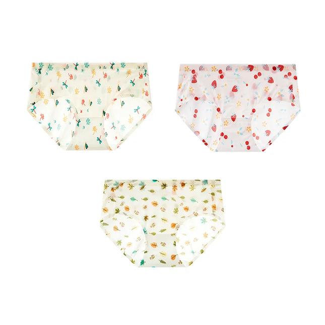 3Pcs/Set Printed Mesh Underwear Underpants - VOLDRI