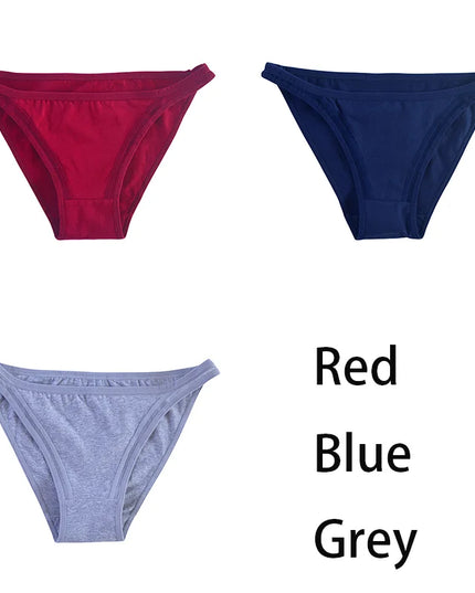 3Pcs/set  Mesh Underpants  Bikini  Underwear - VOLDRI