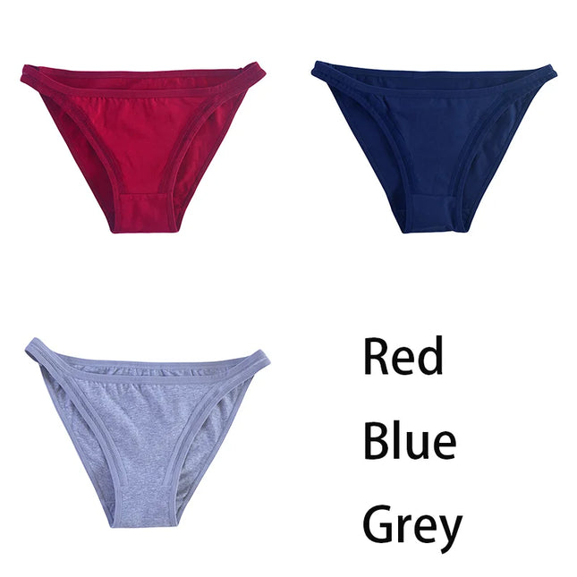 3Pcs/set   Mesh Underpants Bikini  Underwear - VOLDRI