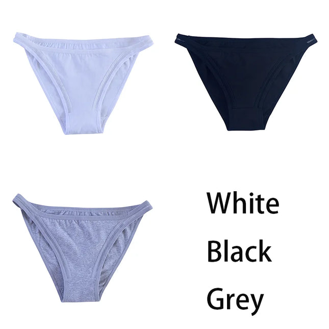 3Pcs/set  Mesh Underpants  Bikini  Underwear - VOLDRI