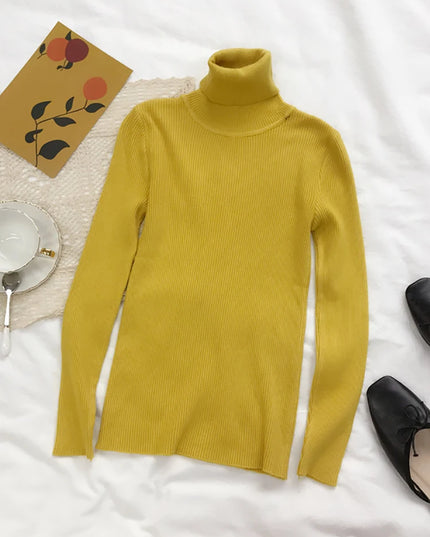 Thick Turtleneck  Ribbed Sweater - VOLDRI