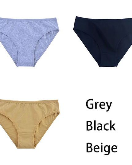 3PCS/Set  Classic Seamless Briefs Panties - VOLDRI