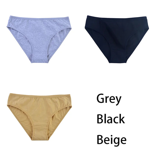 3PCS/Set  Classic Seamless Briefs Panties - VOLDRI