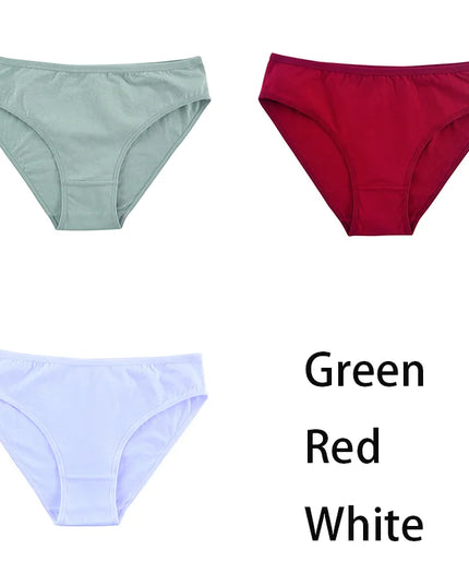 3PCS/Set  Classic Seamless Briefs Panties - VOLDRI